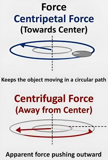 Centripetal and centrifugal Force #science #physicsfun #physics