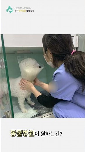 반려동물분야 취업1위, 6개월내 동물병원취업가능성 90% !! 1#한국반려동물아카데미