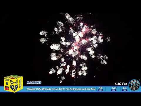 RA143058 Raccoon Fireworks 1.4G pro