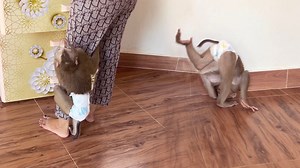 41K views · 3.1K reactions | It’s Judee Funny Unique Style To Amuse Her Mama | The Judy Family | Facebook