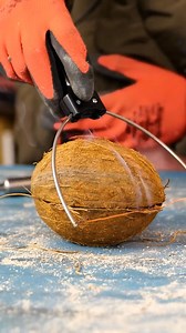 DIY Eco-Friendly Coconut Spoon | Crafty Gadgets