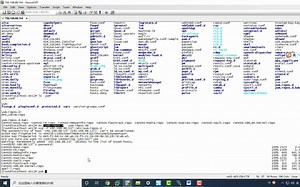 通过X11 forward使用SecureCRT使用vscode