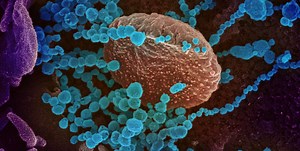 Covid-19 efficacy estimates » Emerging Pathogens Institute » University of Florida