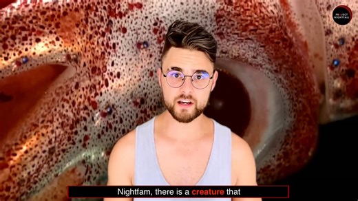 Getting attacked by sea creatures