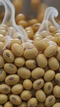 The Amazing Journey of Soybeans! 🤯 #shorts