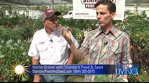 Watch the latest segment of “Home Grown” with Standard Feed & Seed.  Learn about planting urban gardens and check-out their special offers on! ‍ | First Coast Living | Facebook