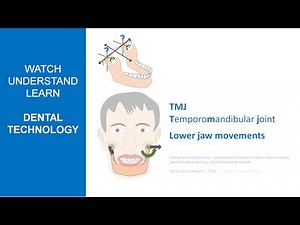 TMJ (Temporomandibular joint) & Lower jaw movements