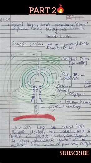 #neet class 11th chapter 14 Breathing and exchange of Gases handwritten notes
