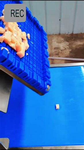 How to cut chicken breast into small cubes quickly in large scale?See this video.#foodmachine