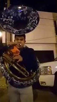 Edy Moreno tubero de la Recodo el toro viejo instrumental Exelente sonido en la tuba
