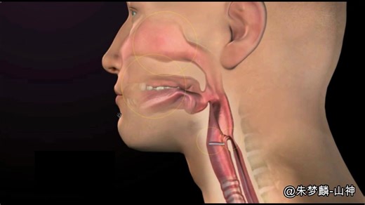 咽喉部位的运动