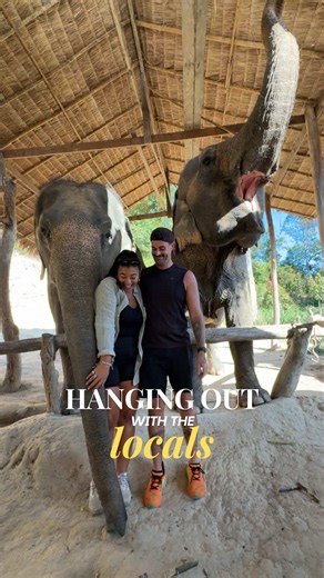 Still can’t get over how big the elephants were compared to us and how they were so gentle 🤯 #elephant #elephantsanctuary #thailand #travelcouple #bucketlist