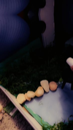 1st grade project with my baby girl #firstgrade #project #bondingtime