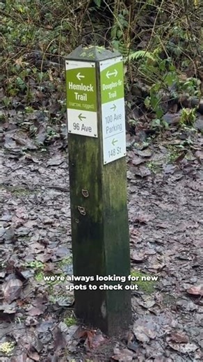 What are some routines you’d like to incorporate in your weekly work routines?