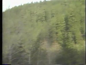 Forest Fragmentation: Issues and Implications