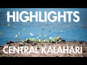 Highlights of Central Kalahari
