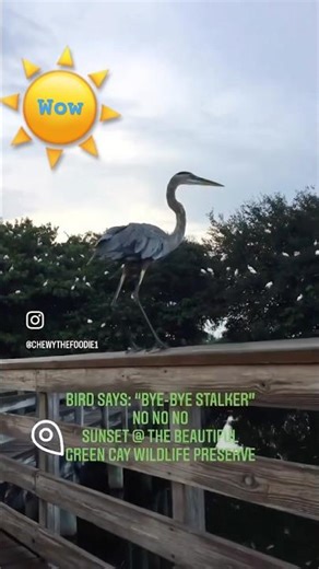 Green Cay Wildlife Preserve 🌈South FLORIDA