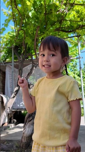 Kids Learn How Grapes Grow