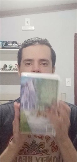 vhs do filme a dama e o vagabundo 2 as aventuras de banzé # ano de lançamento 2001 # Walt disney