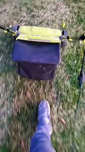 What is dethatching?