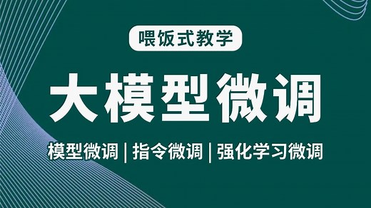 B站强推！一小时掌握大模型微调技术：P-Tuning领域模型微调、Instruct-Tuning指令微调、Lora-QLora微调...人工智能