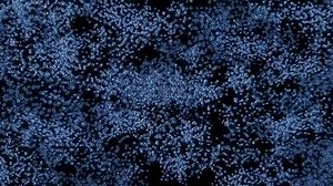 Operación Escape (2013) (Escape from Planet Earth)