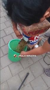 DIY Leaf Shredder and Crusher Machine, Can Also Make Livestock Feed #choppermachine