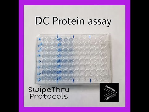 DC Protein assay