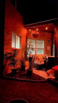 Late Summer Patio & Backyard Makeover