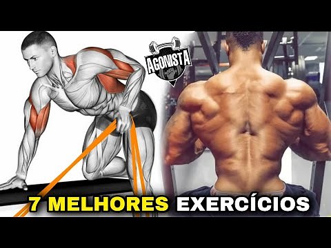 7 EXERCÍCIOS Treine Costas Completo Sem Sair de Casa Usando Elásticos