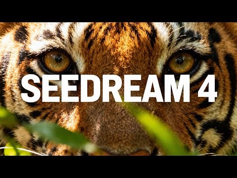 How To Use Seedream 4 On BasedLabs AI | Step by Step Tutorial