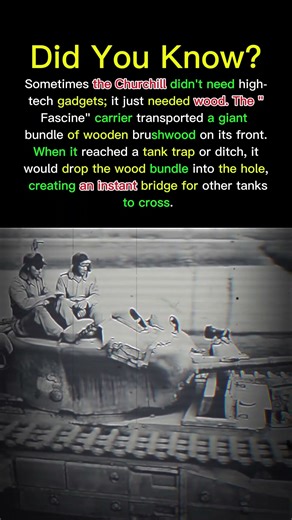 The Tank That Carried a Wood Pile #militaryhistory #ww2 #germantank #tigertank #military #history