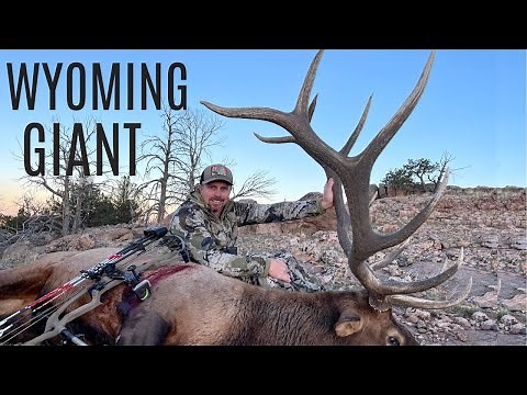 Amazing archery Elk Hunt | Hunter kills his biggest bull ever