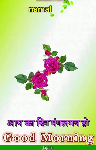 Nomol Nomol on Reels | Facebook