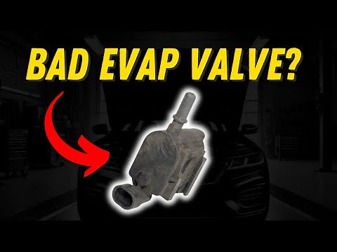 5 Symptoms Of A Bad EVAP Purge Valve (& Replacement Cost)