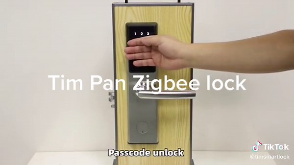 Tuya Zigbee Smart Lock Review and Features