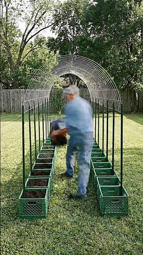 DIY Vertical Pole Bean Trellis: How to Build a Garden Arch with Crates