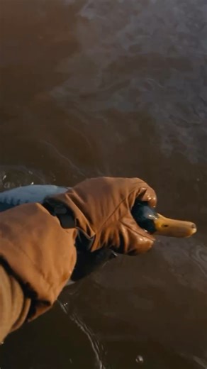Chêne Gear ® on Instagram: "Introducing the Hydro-Lok Glove collection. The Hydro-Lok gloves are engineered for the hunt at its harshest. Built with a 3-layer waterproof shell, they lock out moisture while insulated layers deliver consistent warmth without compromising movement or feel. Hydro-Lok defines a new standard of warmth, protection, and performance built with purpose. Full glove line available November 6th at 10AM CT. #ChêneGear #BuiltBetter"