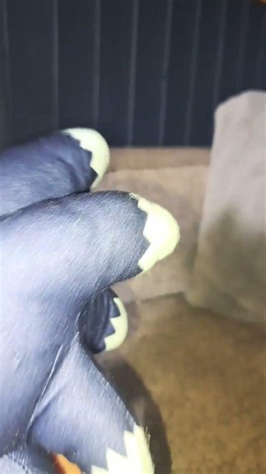 sonic turns to WEREHOG SONIC!#sonic#halloween#plush#werehog