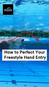 Watch out for the hand entry, it's all about the fingertips first! And remember, if you hear your elbows slapping the water, you're doing it right! Full video is available in our YouTube channel: What Should Your Arms Be Doing In Freestyle? LINK IN BIO. #swimtechniquetraining #swimmersofinstagram #swimmerslife #swimmerslife #swimtraining #swimmingdrills | Effortless Swimming