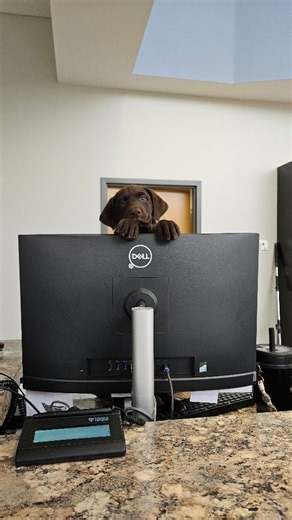 Ruthie is a single mom who works two jobs. She loves her kids and will never stop! #petcare #vetmed #work | Imperial Animal Hospital