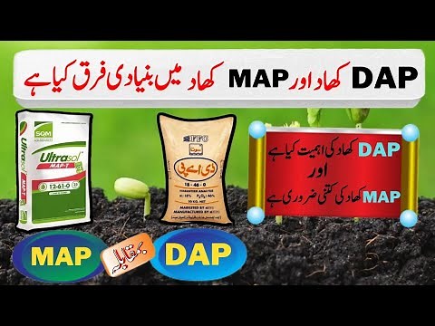 Difference between DAP fertilizer and MAP fertilizer, MAP fertilizer importance