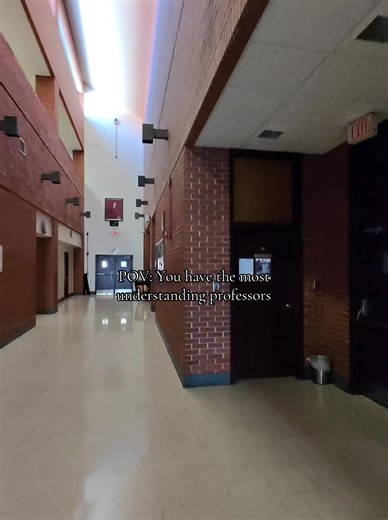 Appreciating Understanding Professors in College Life