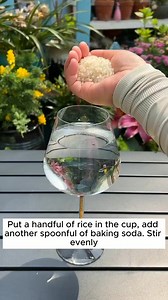 How to treat plant wilt #gardening #garden #gardeningtips #gardenlife #gardeninspiration #gardenideas #gardenplants #gardenviews #gardener #gardenaddict #gardeners #gardenerslife | Gardening 84