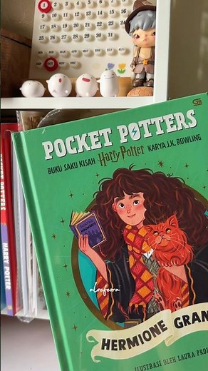 Pocket Potters: Hermione Jean Granger ❤️🪄🐈
