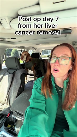 Grey Anatomy Scrubs Review: Comfort for Vets