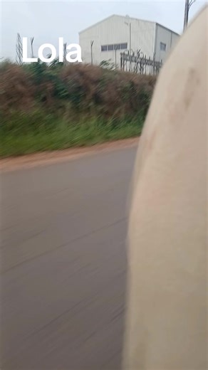 Vidéos de Camara capi fishk (@camaracapifishkil) avec son original - BOUKARI DAMANGO 📲📱