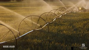 Que combinación! 🌱💧Nuestro Poweroll y el R33 de la marca Nelson que integra la tecnología probada Rotator® para ofrecer un mayor alcance, una mejor resistencia al viento y una distribución uniforme del agua. Conoce mas acerca del producto: https://nelsonirrigation.com/library/ROTATOR_R33_SP.pdf | Wade Rain de México