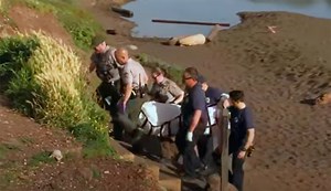 Fisherman Drowns Near San Francisco Despite Life-Saving Measures From Surfer