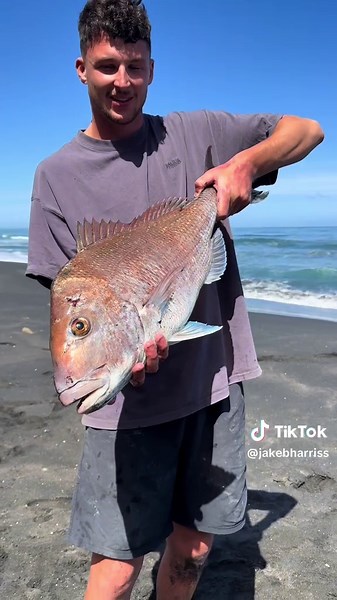 Surf Casting Techniques for Snapper Fishing in NZ